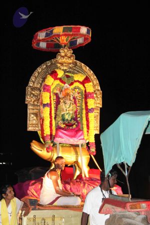 20110901 Photo 1393 1-PRge5lvJCX7bKZUrtZ2-3yVAacpBIK9.JPG