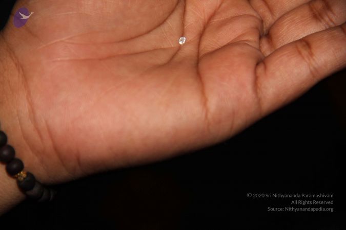 20110901 Photo 1647 135YX gnndRsl4n00WJbxlLEU7m5JubI7.JPG