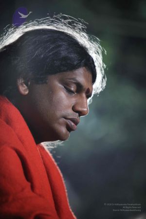 20110901 Photo 1686 1JqyEbjCyOg2a0nolgOiz3cITL ut5 2f.JPG