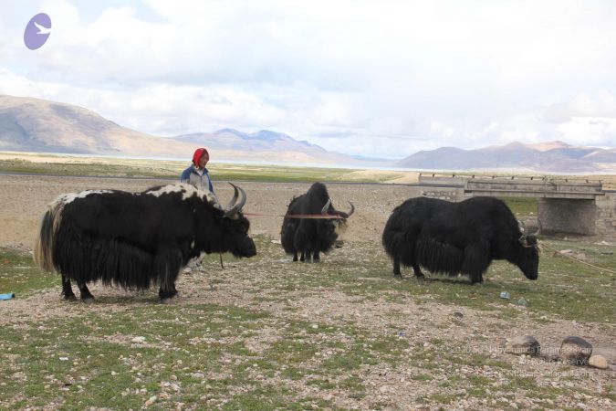 20110901 Photo 1695 1au3MkMqFu1LWxQKWb ZzRInNyaMQH62a.JPG