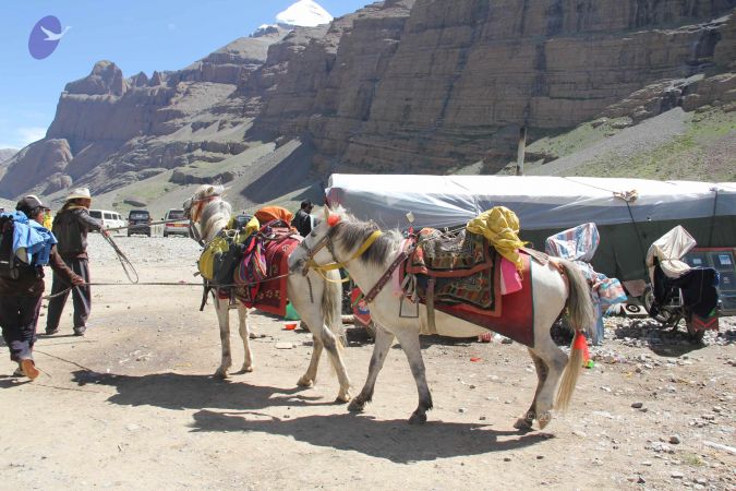 20110901 Photo 1866 1j7w8UOCfPlxEvGtgYVZEic7ojJ1QfYWJ.JPG