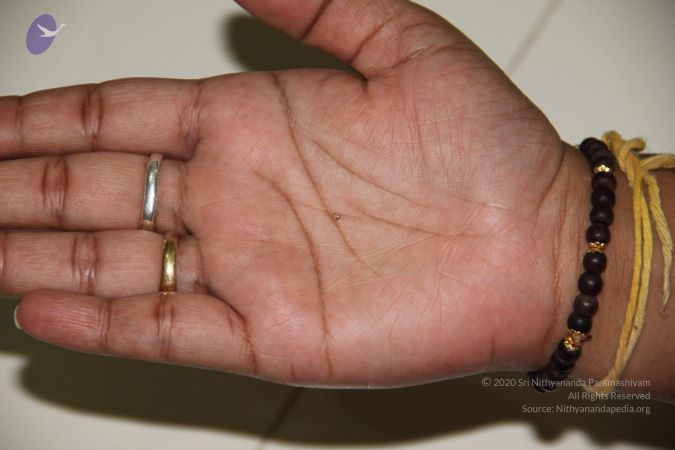 20110901 Photo 1964 1FdfeoXW7j1uLbdWq2m2rFIQGCsRUcMzn.JPG