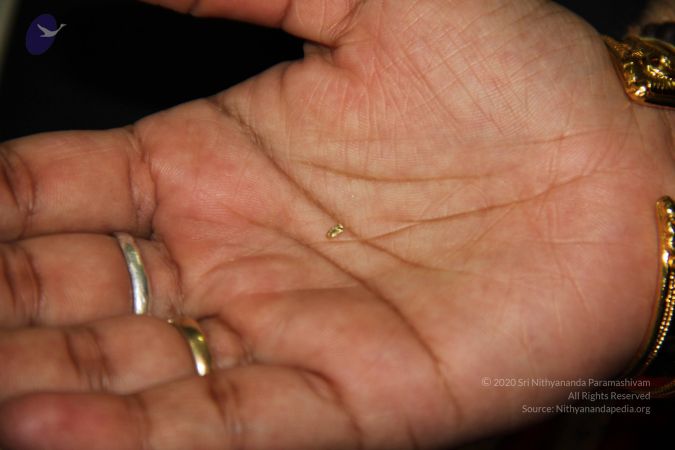 20110901 Photo 1969 1BjOWn-13yzgrVf2cnXVrIUPf1y l2eLS.JPG