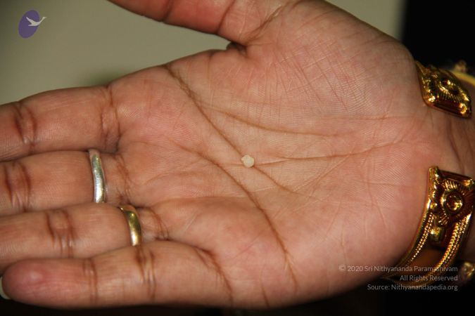 20110901 Photo 1971 1veE41u1jSiCe5Yl6evltIRFVT-mygPjD.JPG