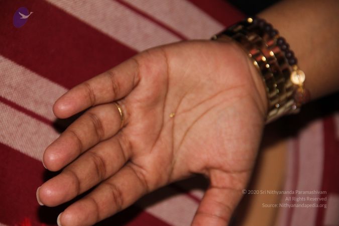 20110901 Photo 1975 1LoCY82tUxldQ2BTQyBtfxNIpGmGjtIOZ.JPG