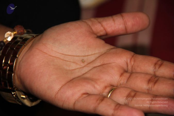 20110901 Photo 1976 1sown8ebUGkLDUg3ugei7nWuBv 2gfsfx.JPG