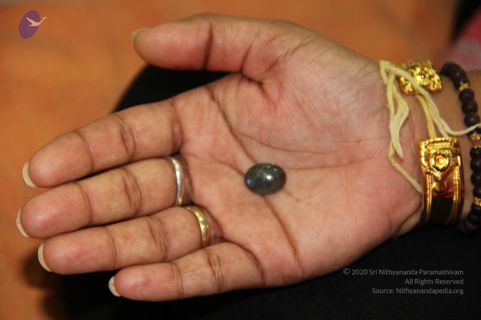 20110901 Photo 1986 1HwU51mdHRXF0gEc9H3f0jbFpwijZfuMe.JPG