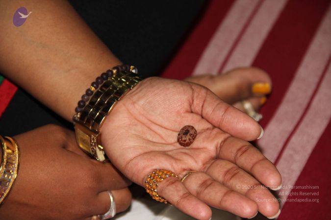 20110901 Photo 1989 1uSws8uBXCGPtOdow5rEuUOBZElgxec4b.JPG