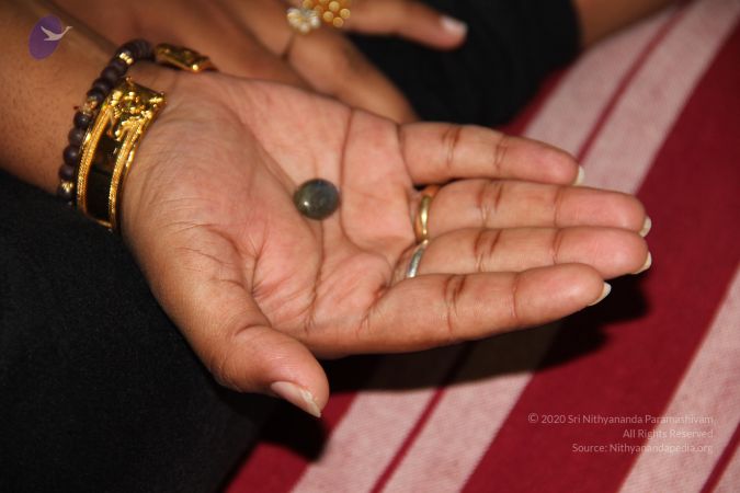 20110901 Photo 1994 1Ms84ueJqbKS46pcoD3lpxcixN6hQ-fpj.JPG