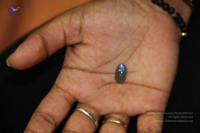 20110901 Photo 2000 1qCqf-yjdZF8Uqm5h8LSWr8Ycd0kOGuC .JPG