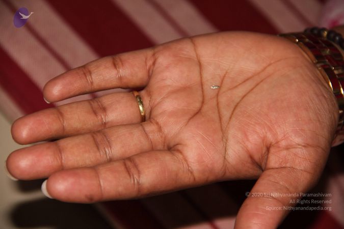 20110901 Photo 2008 18kadULi5lMFqoV73 x3h446WlxVDo2Mh.JPG