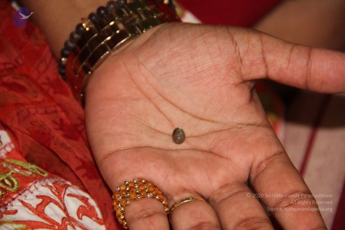 20110901 Photo 2026 1jK4yKFFmm9aFQIcs1HnimGX45opXnBIZ.JPG