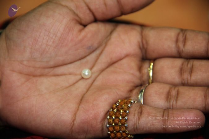 20110901 Photo 2047 18RXx-SFduPjxIxrWehgUw h6kJGjy8GX.JPG