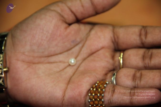 20110901 Photo 2048 11rTXRJcBgtfbkKMn7vri2CtpV17gIhvR.JPG