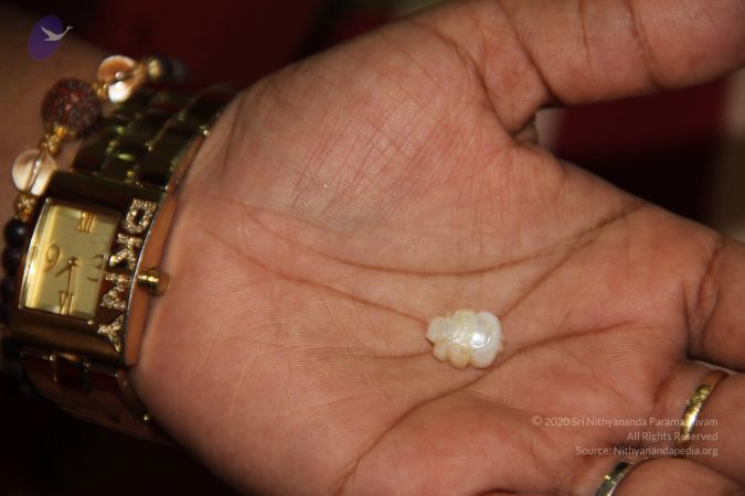 20110901 Photo 2055 1zGhlY Q4iB1NXllFnyasucX9vCz0dnGr.JPG