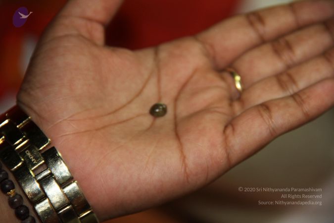 20110901 Photo 2065 1FJ7d1idCxQHVVRlAMnHdSLZ3Q6BaFv0x.JPG