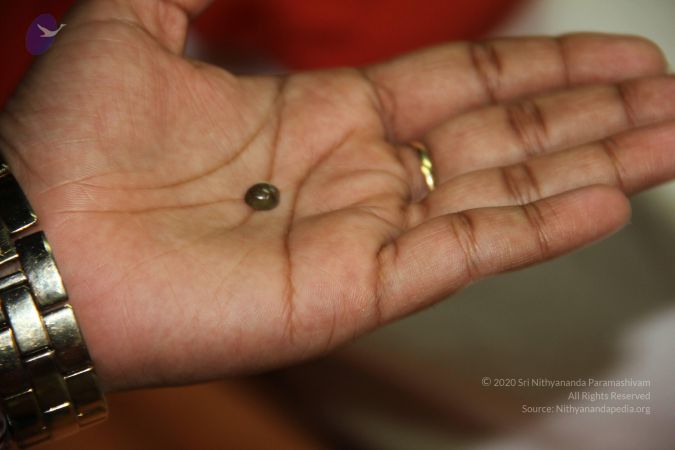 20110901 Photo 2066 1XGeyeEmQymdVxu30uW09GpybYRM9zxfH.JPG