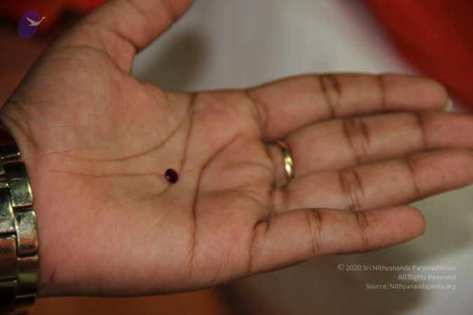 20110901 Photo 2067 1sHtpctkFzVfODvQxwZXLRa5VsFxA3FWP.JPG