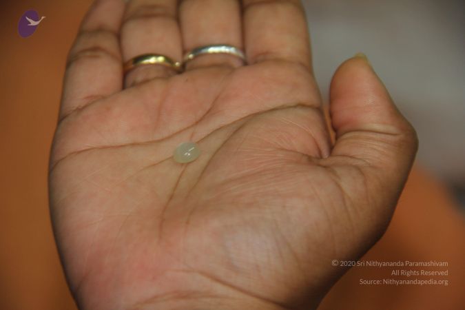 20110901 Photo 2079 1wF8SZYDcrgwk9U3xnWvx4hmVPMwp9lwr.JPG