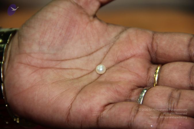 20110901 Photo 2143 1WoJyVXld5b8iH0UtqHBaknL-JSDwdxz1.JPG