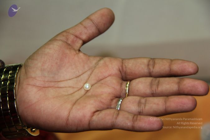 20110901 Photo 2144 1 oKwNNQy3WkUacGhfZmxaBoB4rJPyxwp.JPG