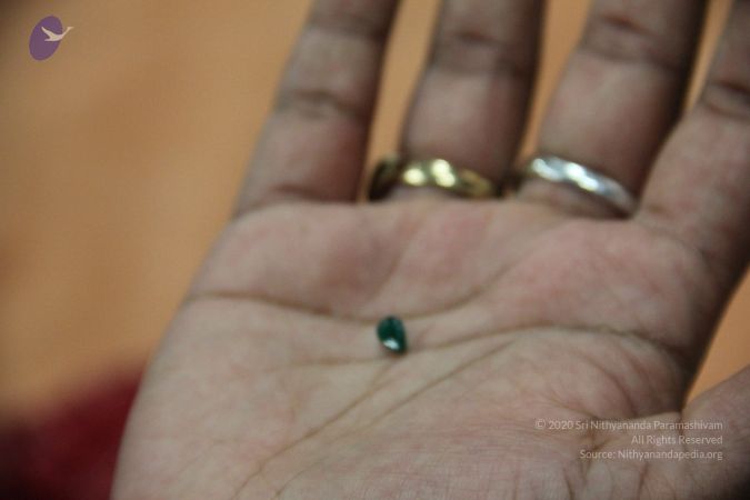 20110901 Photo 2147 1yOj6RTE4mtyvdnoZMl8tPp8vjvFfmAe1.JPG