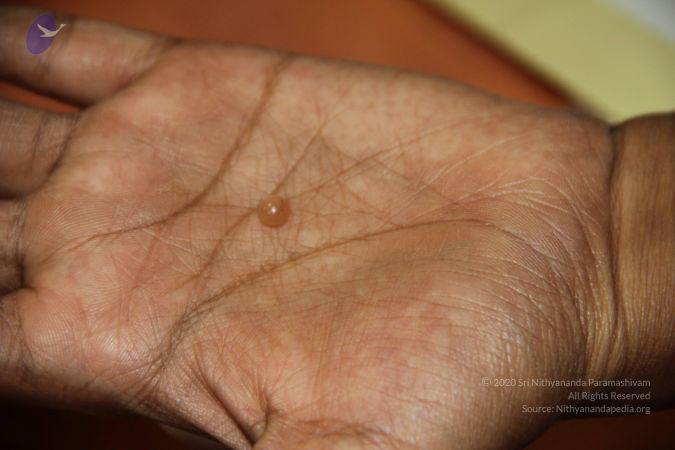 20110901 Photo 2157 1-BbtdOnchGBLZAqvAmFItJKF 979jk8t.JPG