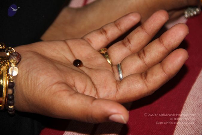 20110901 Photo 2169 1x1gXVuEYf2Gc9f KXCNw3A9befZf6kML.JPG