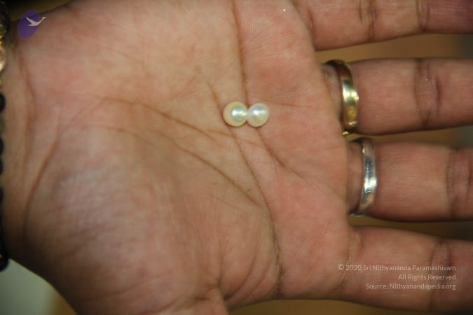 20110901 Photo 2183 16-2pi6rGinRB1vH4RacK72DsfF-qny t.JPG