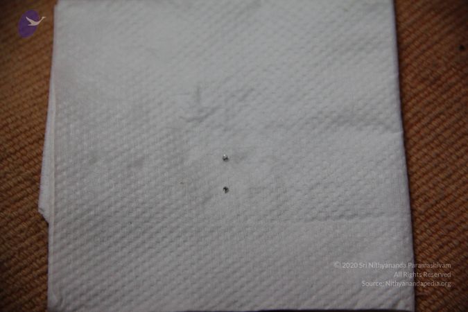 20110901 Photo 2255 1uvCLHYuY4LeKWd9Gm3zBy0y8oMeKsWXL.JPG