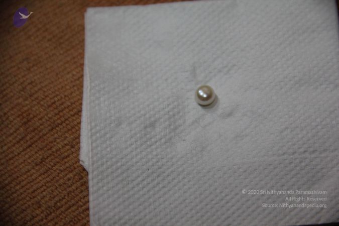 20110901 Photo 2256 1PN-jjWOOJpkMLsqddU5FyfsDoE2OMv-s.JPG