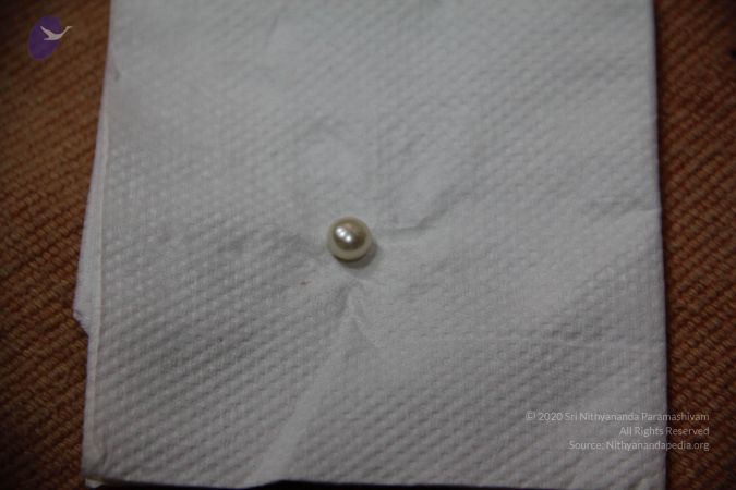 20110901 Photo 2264 1VZf06QY9tGS5DyrUUU2iAzFc4S aOjuN.JPG