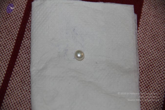 20110901 Photo 2277 1eCKYMqSs4Fit6nvHHXjcSdRX4lE2bEnJ.JPG