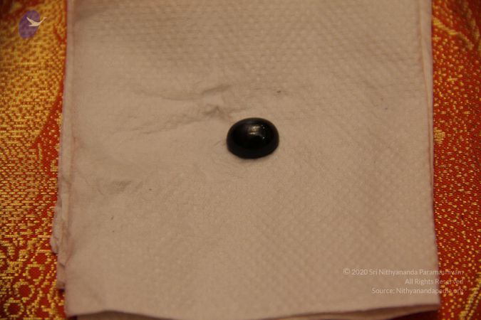 20110901 Photo 2299 19t92El6Ey51 imTLqASrvy8b1JDJyPLy.JPG