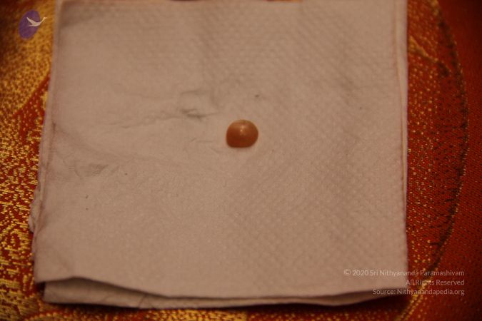 20110901 Photo 2323 1HKt5JrWVPMJgaXO0rKRq5MnWilOLl7p0.JPG