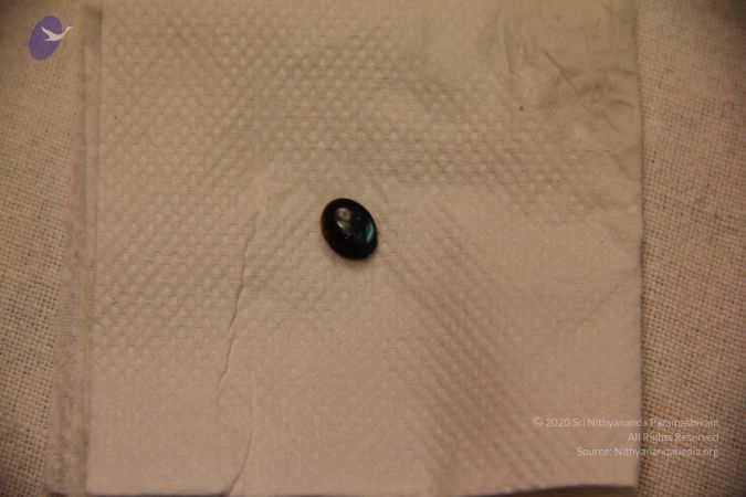 20110901 Photo 2344 1DxMQ1SUI9C3S69jZVqO0b qBNlFcKb d.JPG