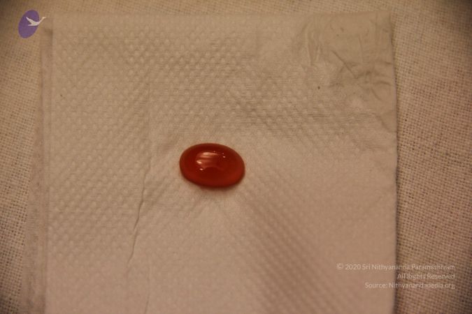 20110901 Photo 2348 1-7IW5SH0TR94EiA6GUVQzch1SONzcJno.JPG