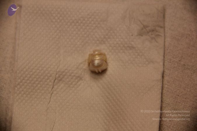 20110901 Photo 2353 1R9gvfWEjXRS33sF0A7VmSVEVDJXdaaYt.JPG