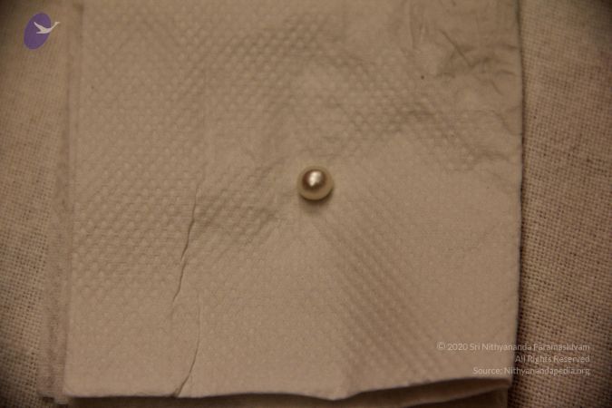 20110901 Photo 2356 12biaHvotXlt TOUB8E9aQYAsH7Yj5zQt.JPG