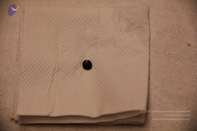 20110901 Photo 2359 1oMYMxGuuhSAdWlqE-7pYVkkS3E2vW0pD.JPG