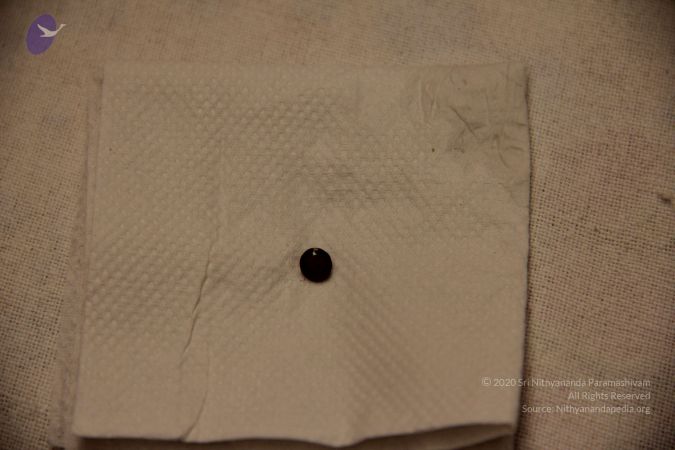 20110901 Photo 2360 132WW58hmW0MNAUKyk5nyinnQwJGn5Q3a.JPG