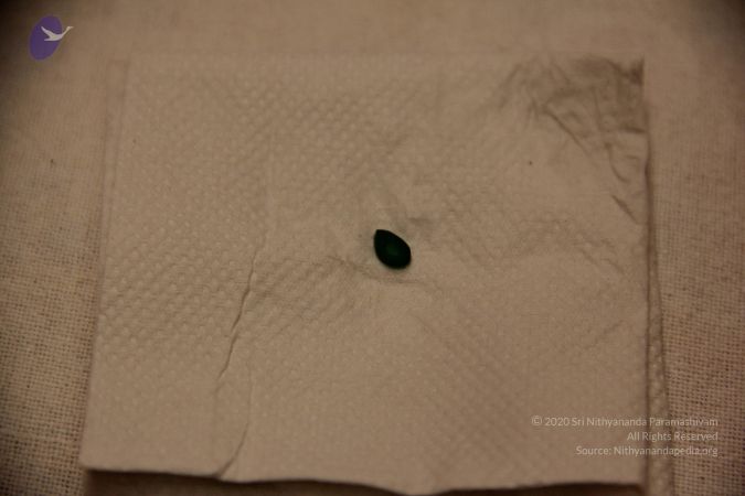 20110901 Photo 2372 1xts8LlQbkTRd65ow7r4MfWGAeSvJE68p.JPG