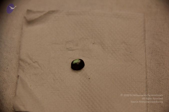 20110901 Photo 2391 1p5wtfvTO8un4VSOte6BlhVqSBbbYaiBF.JPG