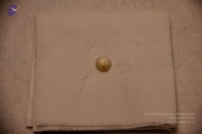 20110901 Photo 2403 106F46xF8UmPVANE5pE35aOpeK6edQ-a .JPG