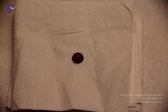 20110901 Photo 2417 1ZM86fhLaq20WPEHwoD32F9ov2t7mf1e2.JPG