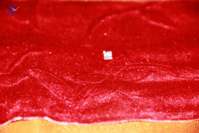 20110901 Photo 2449 1483I8hybsd0X5QdFfYt6NBQMNgUzBzWe.JPG