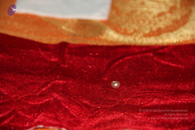 20110901 Photo 2481 1eFXiJ2drN-ppjlgZhV5tolRh5BjUKOWx.JPG