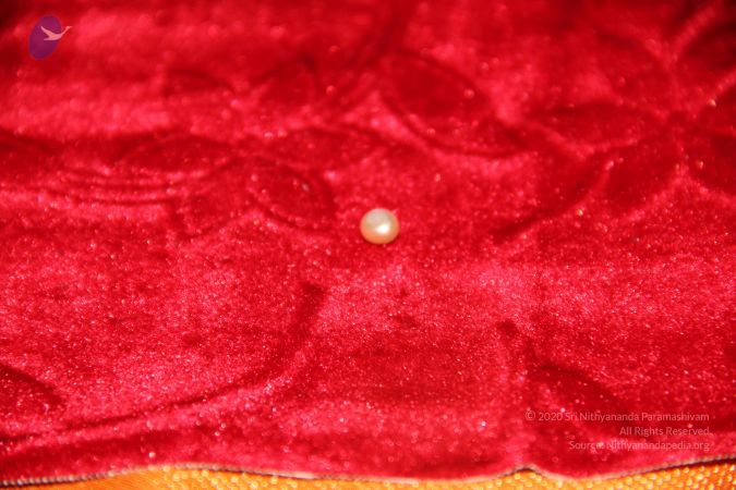 20110901 Photo 2487 16RRvG-dcX5tg8Sz4-AU ycWRntkRN5Ad.JPG