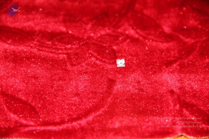 20110901 Photo 2489 1BeJSJtEjPh3evXidYHxc722lMQ9SwyQM.JPG