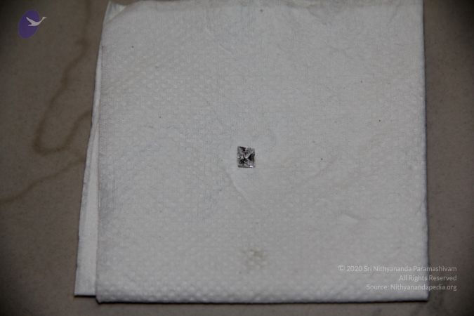 20110901 Photo 2519 1dNCnnRikrjZWSj Yhw1ASmXlgY4bEU Q.JPG